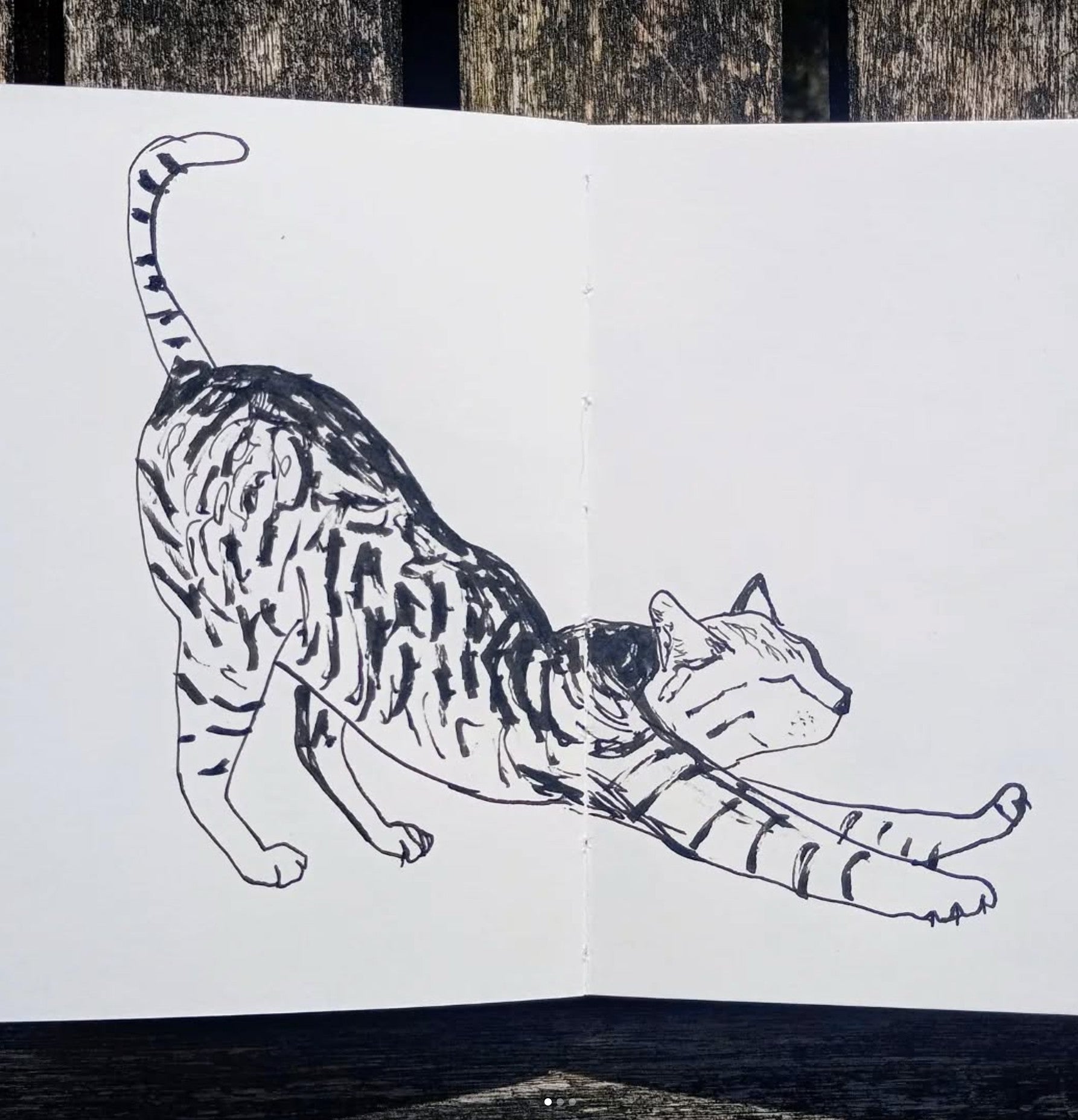 עט מברשת ZEBRA דו צדדי