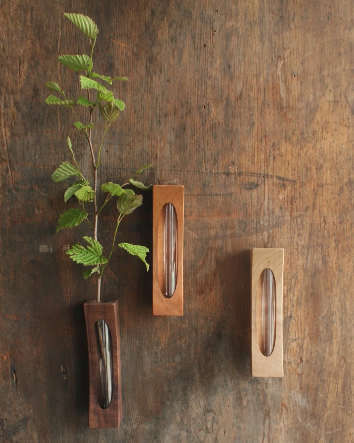 ואזת הקיר של סוגאוורה | דובדבן