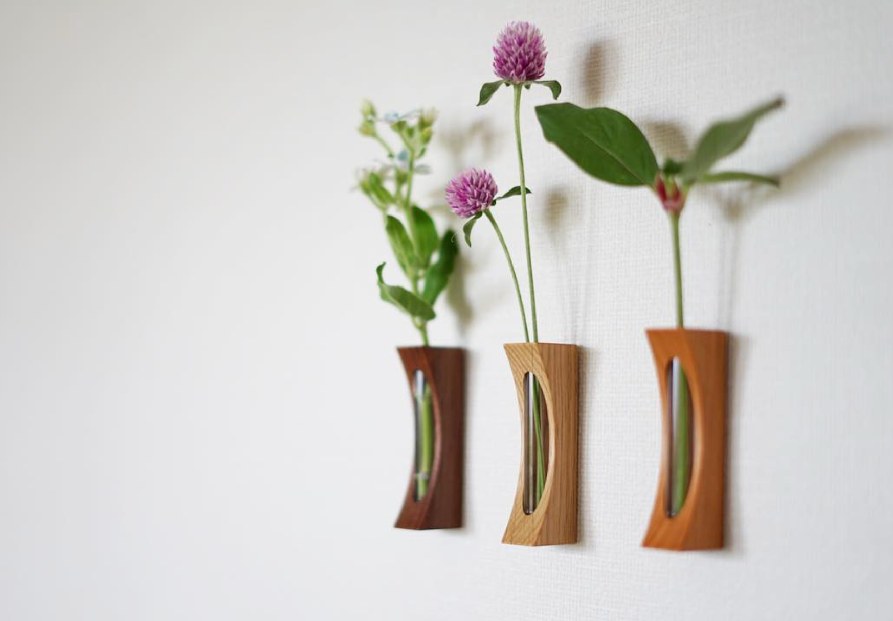 ואזת הקיר של סוגאוורה | דובדבן