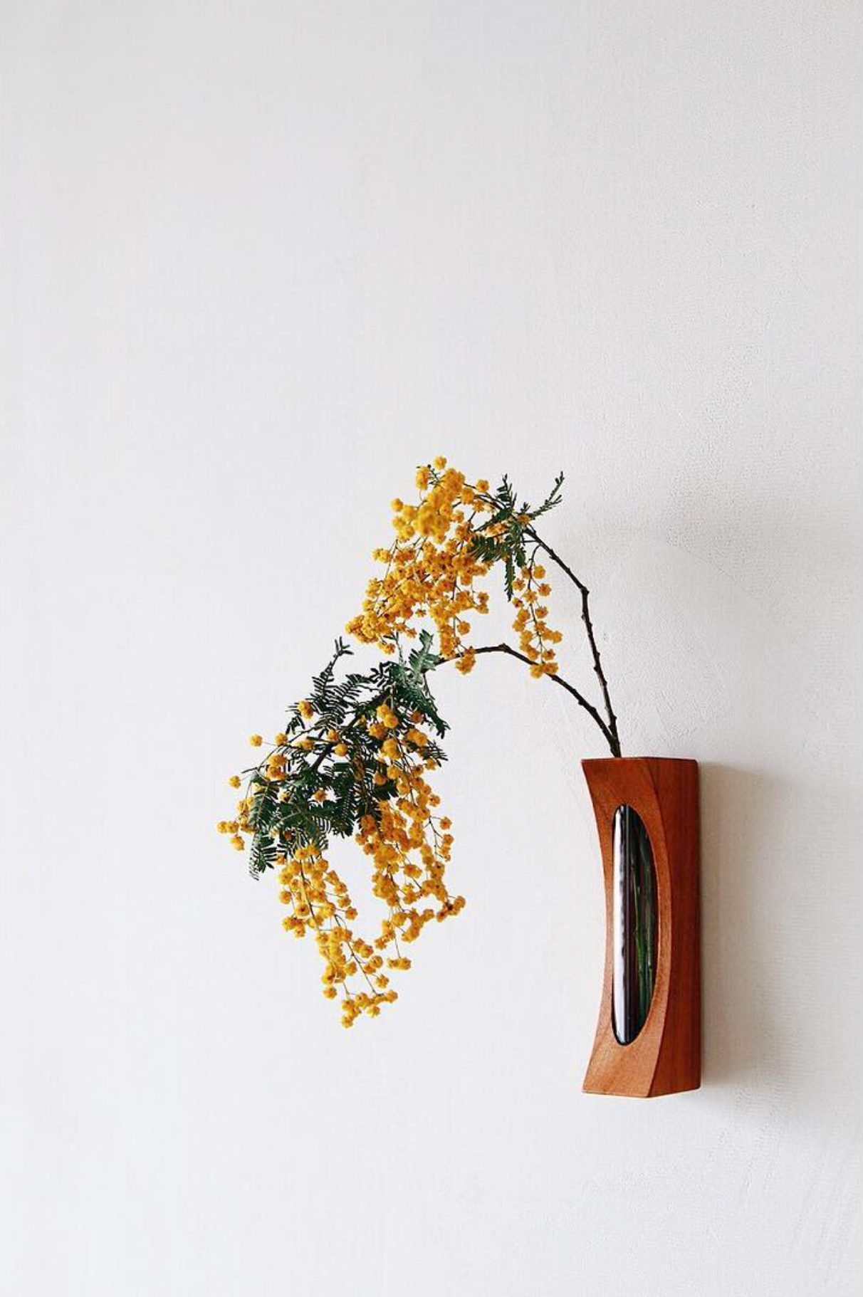 ואזת הקיר של סוגאוורה | דובדבן